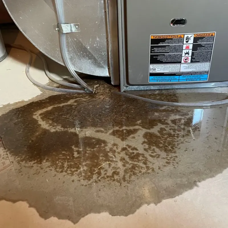 Pipe Burst and Leak Restoration in West Haven, UT