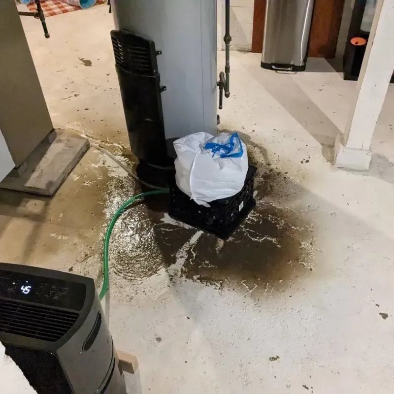 Sewage Backup Cleanup Service in West Haven, UT